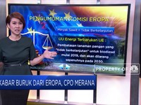 Kabar Buruk dari Eropa, CPO Merana
