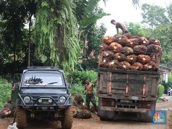 Sawit Dihadang, RI Ancam Boikot Produk Eropa!