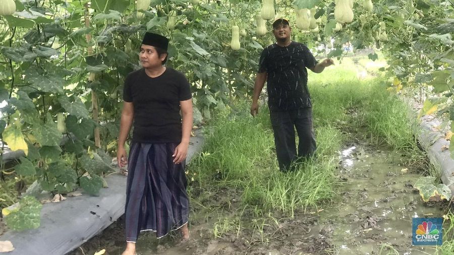 Sebagai petani yang berada di pinggiran ibu kota, Bagas mengaku sering mendapati persoalan dengan cuaca seperti banjir dan kekeringan.