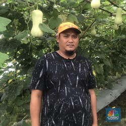 Kisah Petani di Pinggiran Jakarta Beromzet Jutaan Rupiah