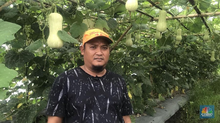 Hidup menjadi petani di pinggiran ibu kota merupakan pilihan Bagas Suratman.