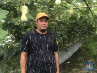 Kisah Petani di Pinggiran Jakarta Beromzet Jutaan Rupiah