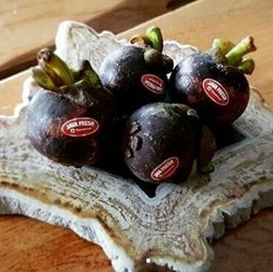 Bisnis Ekspor Buah Beromzet Rp 30 Miliar/Tahun, Mau?