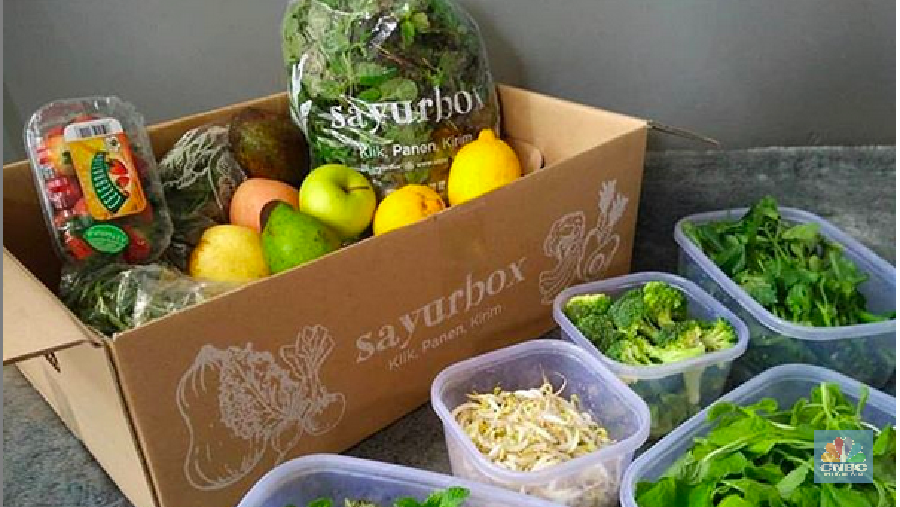 Sayurbox