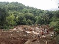 BNPB Sebut Akar Wangi di Hutan Gundul Solusi Atasi Longsor