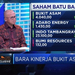 Kebijakan DMO Diakui Gerus Laba PTBA
