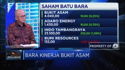 Kebijakan DMO Diakui Gerus Laba PTBA