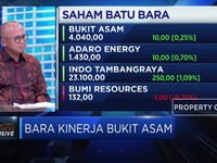 Kebijakan DMO Diakui Gerus Laba PTBA