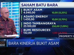 Kebijakan DMO Diakui Gerus Laba PTBA