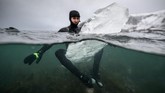 Sulit untuk membawanya ke garis pantai, sehingga butuh dua sampai tiga orang untuk membopongnya. (Olivier MORIN / AFP)
