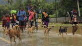 Warga mengungsi akibat banjir bandang di Sentani Jayapura, Papua, Senin (18/3). Hingga Selasa (19/3) BNPB mencatat setidaknya 89 warga meninggal akibat banjir yang menerjang Sentani. ANTARA FOTO/Gusti Tanati