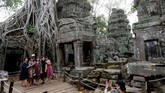 Lilitan akar pohon raksasa yang memeluk candi secara alami menjadi salah satu daya tarik terkuat. (REUTERS/Samrang Pring)