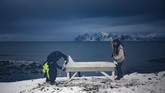 Di tengah dinginnya kawasan Lofotan yang berada dekat Lingkar Arktik, mereka ramai-ramai mengukir bongkahan es menjadi papan surfing. (Olivier MORIN / AFP)