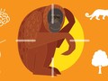 INFOGRAFIS: Jangan Bunuh Orangutan