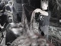 VIDEO: Lagi, Paus Mati Akibat Telan 40 Kilogram Plastik