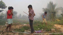 Walhi: Masyarakat Adat Masih Disalahkan Jadi Pemicu Karhutla