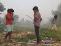 Walhi: Masyarakat Adat Masih Disalahkan Jadi Pemicu Karhutla