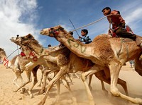 Selamat Liburan! Deretan Negara Ini Sudah Dibuka Buat Turis