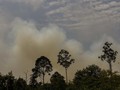15 Wilayah di Indonesia Berpotensi Mudah Terbakar