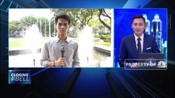 RI Siap WTO-kan Diskriminasi Sawit dan Siap Balas Eropa