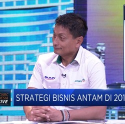 CEO Antam Bicara Peluang Akusisi Saham Divestasi Vale