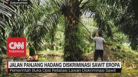 Jalan Panjang Hadang Diskriminasi Sawit Eropa