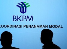 Tak Main Tambang Lagi, RI Tawarkan Ini ke Investor Asing