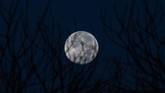 Supermoon terakhir yang dinamakan 'super worm equinox moon' membuat Bulan akan terlihat bersinar lebih terang, dan terlihat lebih besar dari ukuran malam-malam sebelumnya. (Photo by Mohd RASFAN / AFP)