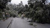 Pengendara motor melintas di jalur menuju kaldera Gunung Bromo yang terhalang pohon roboh di Ngadisari, Sukapura, Probolinggo, Jawa Timur, 19 Maret 2019. (ANTARA FOTO/Umarul Faruq)