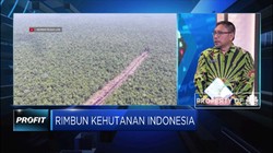 Buruknya Kondisi Hutan jadi Kambing Hitam Banyaknya Bencana