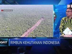 Buruknya Kondisi Hutan jadi Kambing Hitam Banyaknya Bencana
