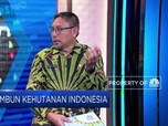 KLHK Jawab Tudingan Eropa soal Deforestasi oleh Sawit