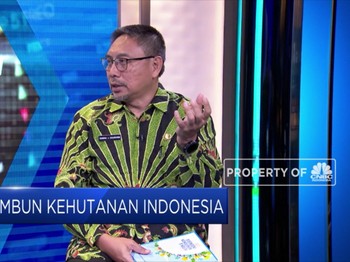 KLHK Jawab Tudingan Eropa soal Deforestasi oleh Sawit
