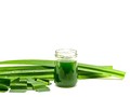 Atasi Asam Urat dengan Daun Pandan