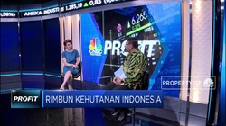 Wahai Uni Eropa! Ini Jurus Indonesia Tekan Deforestasi