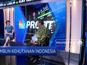 Wahai Uni Eropa! Ini Jurus Indonesia Tekan Deforestasi