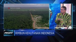 KLHK Telah Menerapkan Aturan Sawit Berkelanjutan