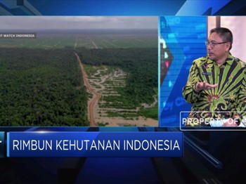 KLHK Telah Menerapkan Aturan Sawit Berkelanjutan