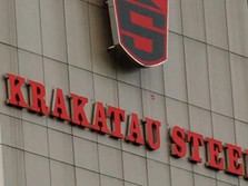 Bakal Jadi Holding, KRAS Akan Spin Off Anak Usaha