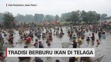 Tradisi Berburu Ikan di Telaga