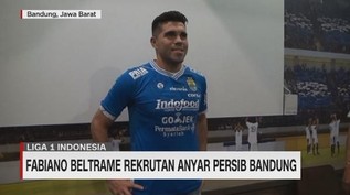 Fabiano Beltrame Rekrutan Anyar Persib