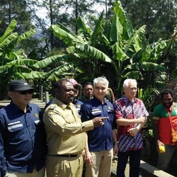 Berkat Lampu Surya, 86 Desa Kabupaten Puncak Jadi Terang