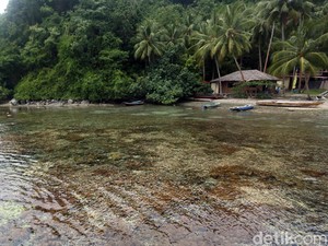 5 Spot Diving Rekomendasi Bupati Halmahera