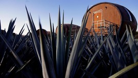 FOTO: Hotel Tequila di Meksiko