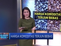 Gawat! Harga Komoditas Unggulan RI Anjlok
