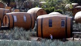 Tequila adalah minuman distilasi yang terbuat dari tanaman agave yang dibuat di sekitar kota Tequila.