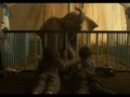 VIDEO: 'Batman' dan 'Penguin' Reuni Berkat Gajah 'Dumbo'