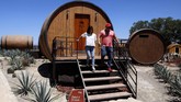 White tequila dihasilkan dari proses 100 persen agave, sedangkan maroon tequila dihasilkan dari proses pencampuran gula tebu.