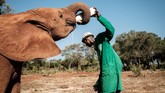 Layaknya mamalia lain, susu adalah hal yang penting untuk bayi gajah dalam masa pertumbuhan.