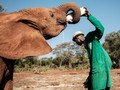 FOTO: Babak Baru Gajah Kenya